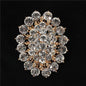 Crystal Brooch