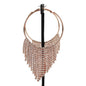 Rhinestons Hoop Fringe Earring