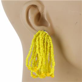 Seed Bead Fringed Earring